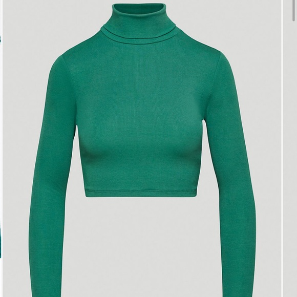 Dark green aritzia Sunday best turtle neck - Picture 1 of 1